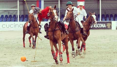 3b3abafa-21bb-5ae4-9eaf-94f2a2e5b386_Polo[1]