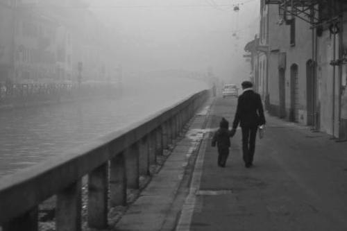 1463472_536835676475041_3337034515008908888_n[1]