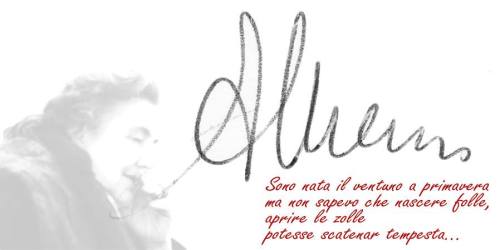 12795348_10153399128613085_133747040139831198_n[1]