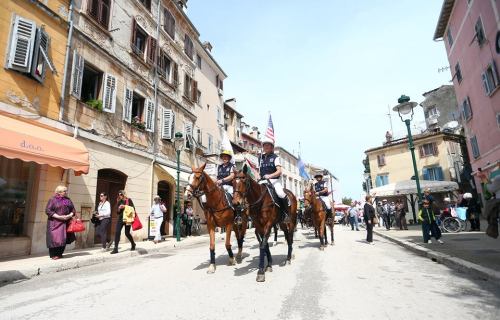 13178567_1596220490707740_213526629067384134_n[1]