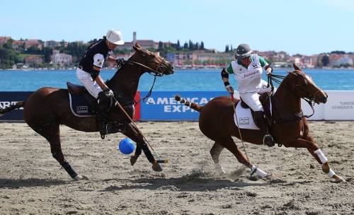 13220961_1596445414018581_5256580570661977742_n[1]