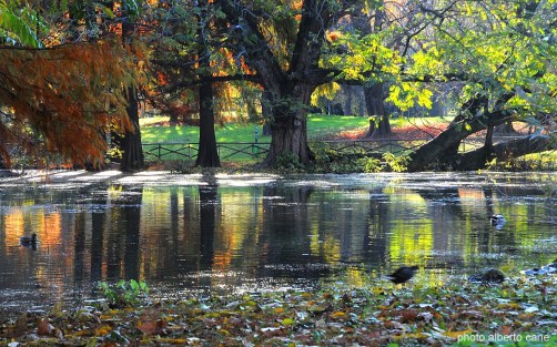 Risultati immagini per MILANO D'AUTUNNO