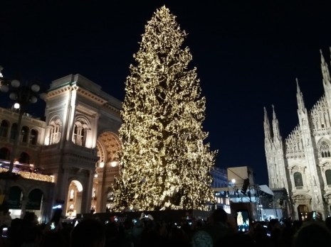 Risultati immagini per milano albero di natale 2017