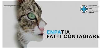 Coronavirus e animali domestici: quante bufale. Ecco i consigli&nbsp;dell’Enpa