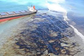 Mauritius, disastro ambientale: continuano a morire delfini, e anche due&nbsp;balene