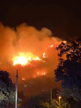 Incendio-Altofonte-6