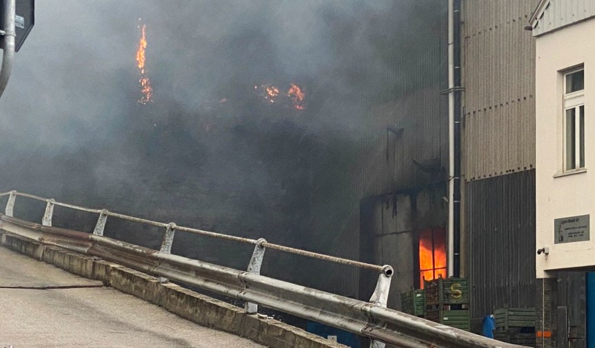 Esplosione in fabbrica a Voltri, le fiamme attaccano anche il&nbsp;bosco